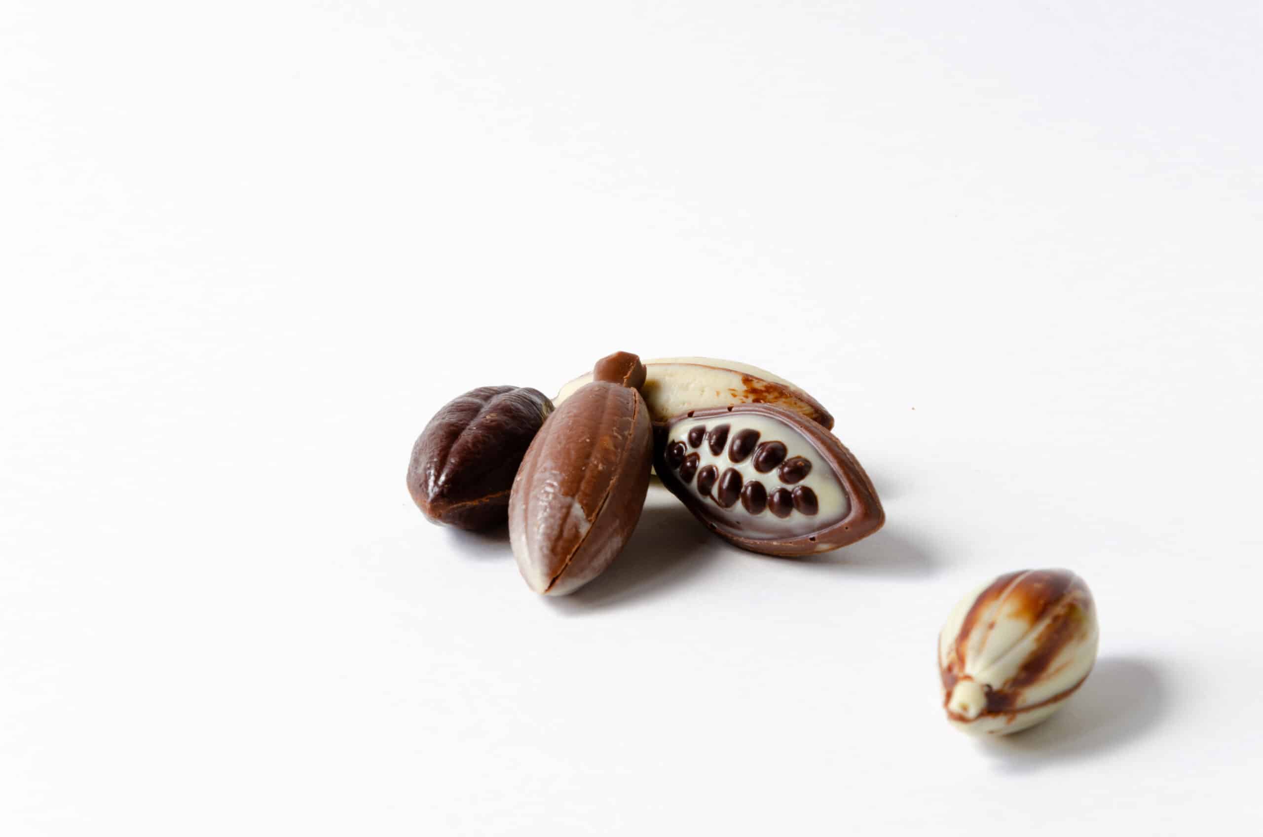 Cabosse #4