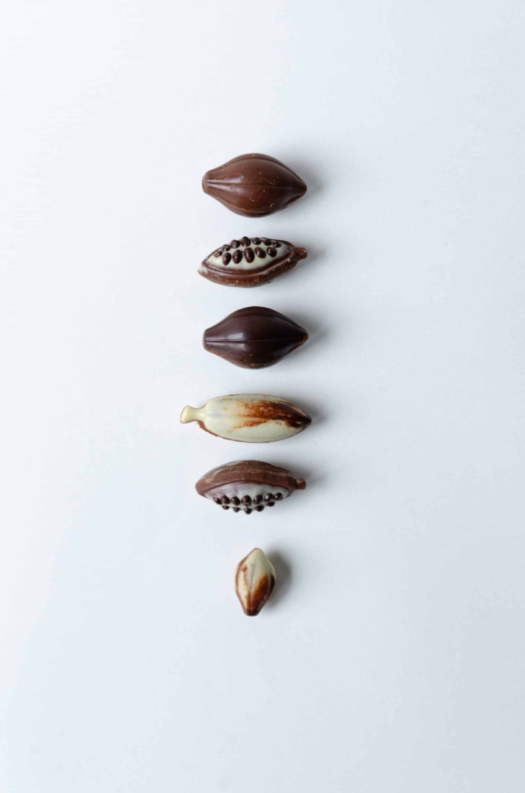 Cabosses
