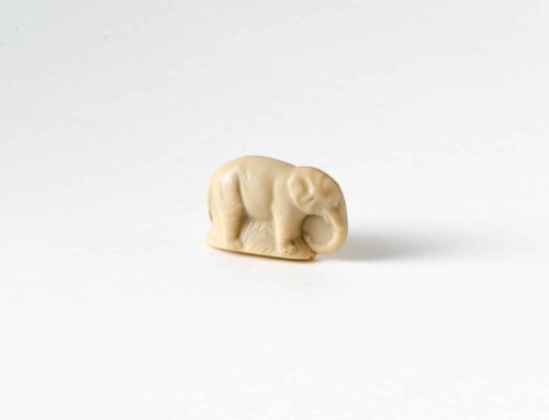 Eléphant blanc