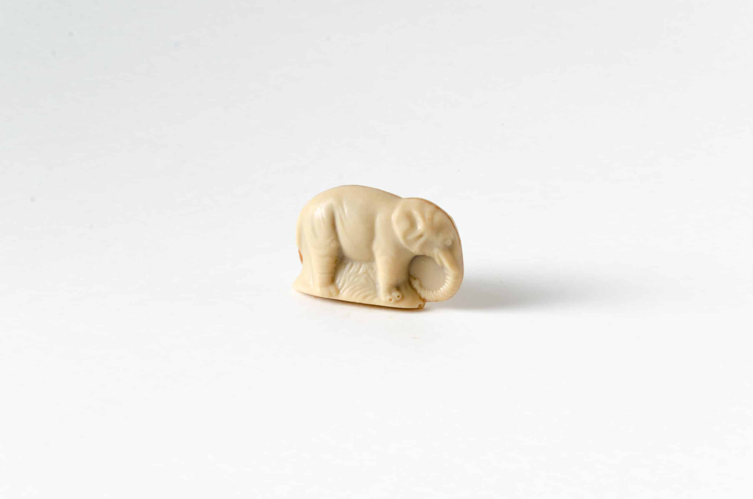 Elephant – blanc