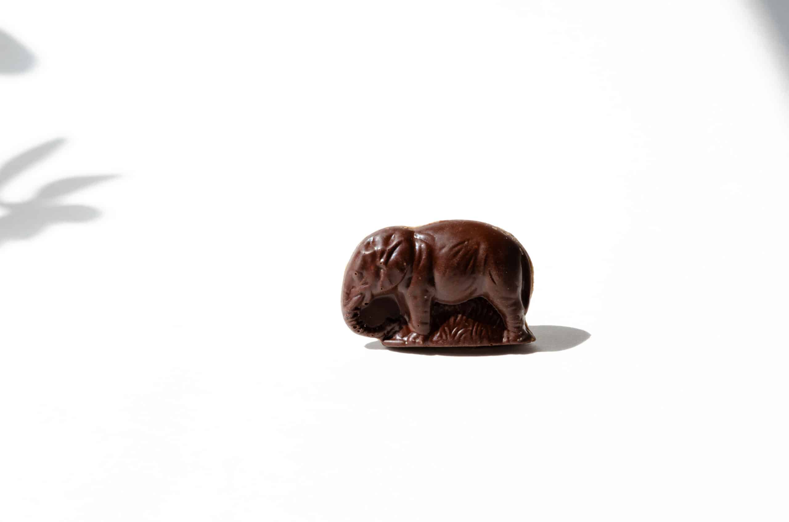Elephant – noir