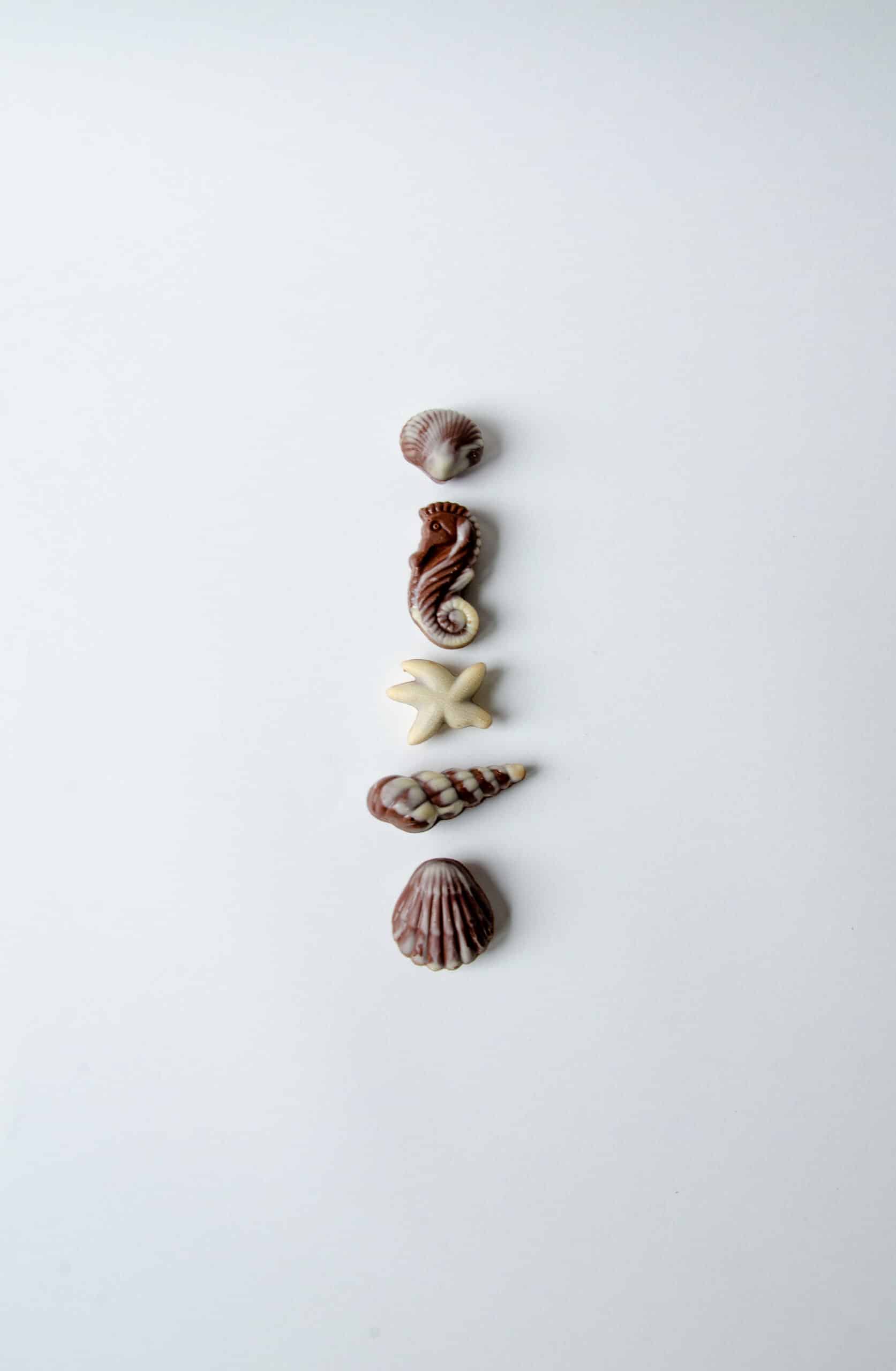 Fruits de mer-1
