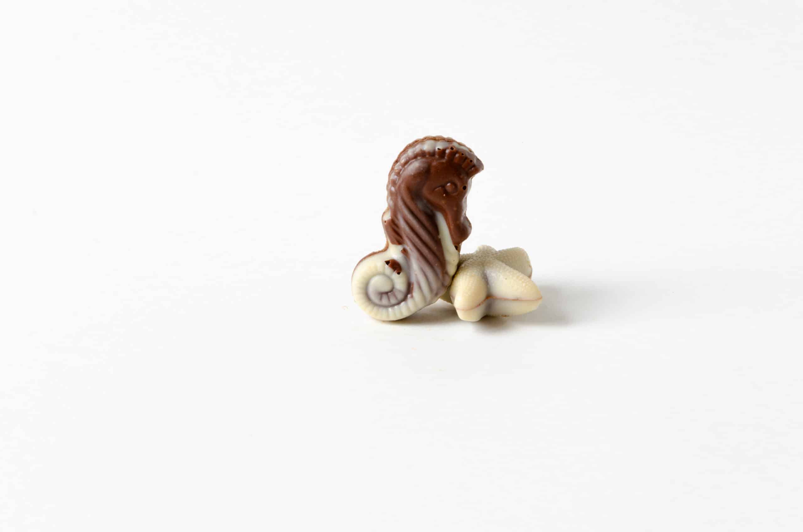Fruits de mer #1