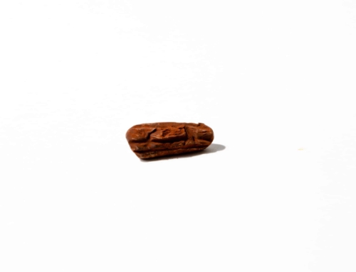 Truffe Intense