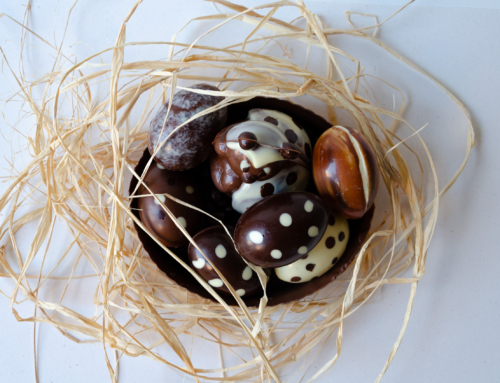 🐰🐔 Ça frétille, ça caquète… et ça sent déjà le printemps chez Cocoatree !