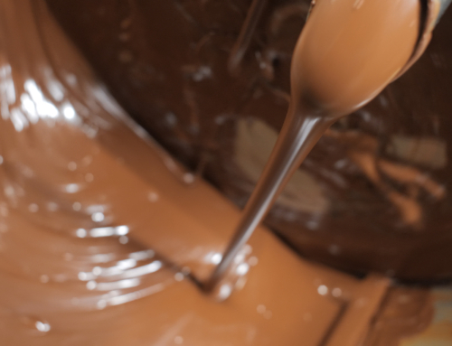 🍫 Le chocolat peut-il se passer de cacao ?